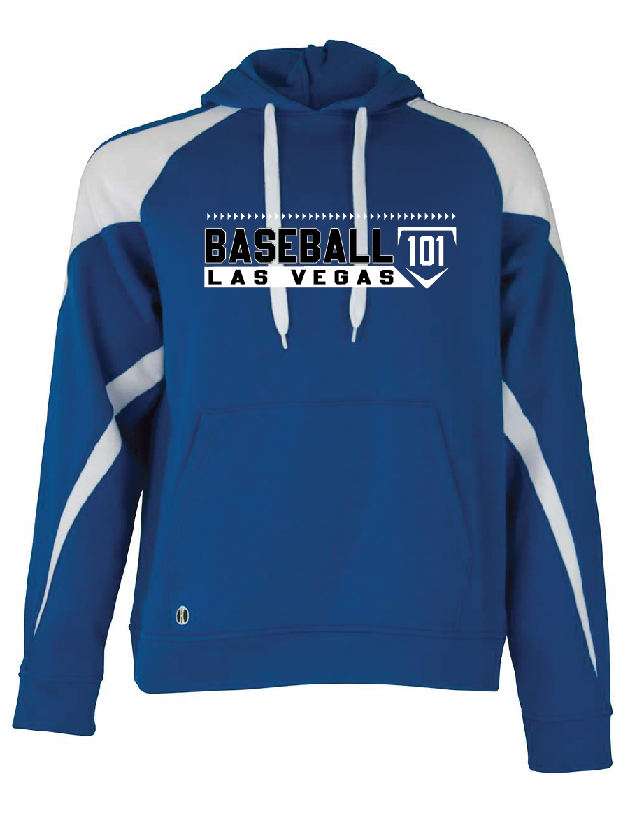 BASEBALL 101 HOODIE