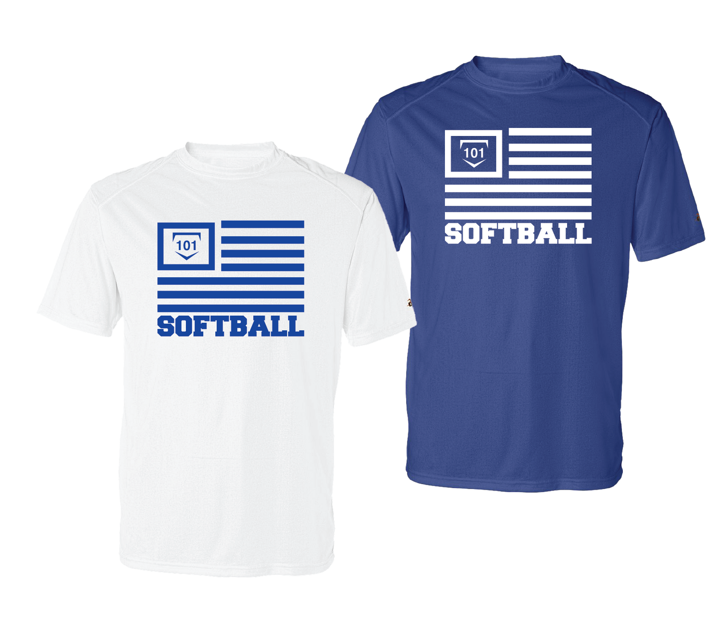 SOFTBALL 101 VETERANS EDITION