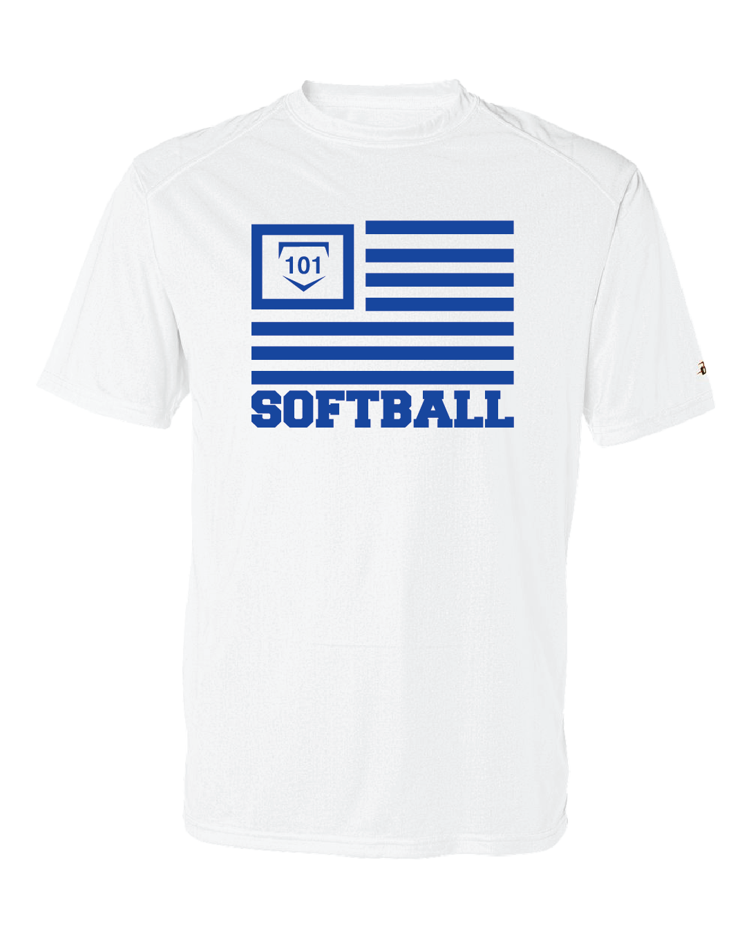 SOFTBALL 101 VETERANS EDITION