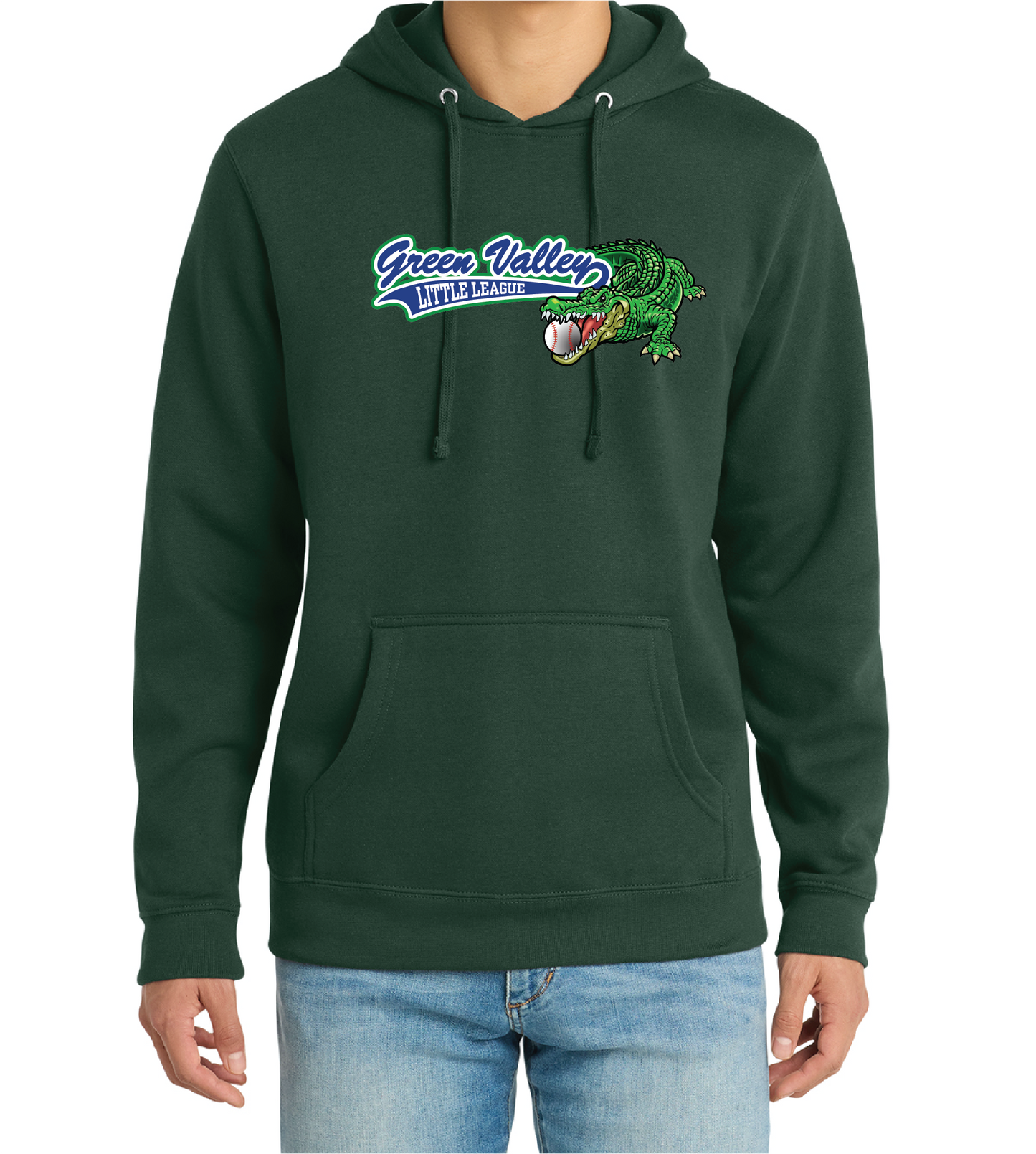 DISTRICT FLEECE HOODIE