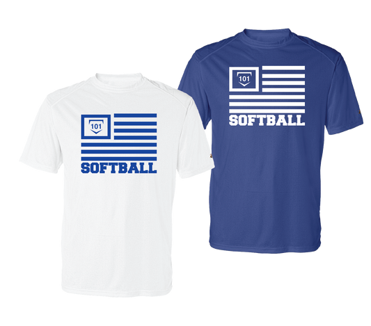 SOFTBALL 101 VETERANS EDITION