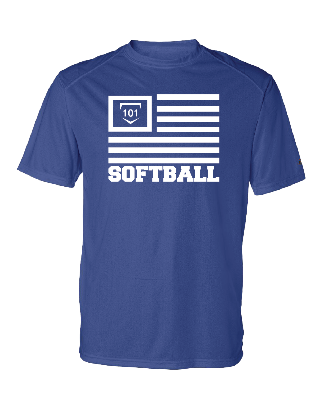 SOFTBALL 101 VETERANS EDITION