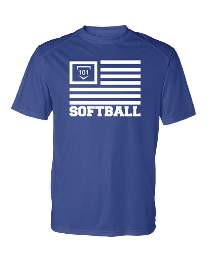 SOFTBALL 101 VETERANS EDITION